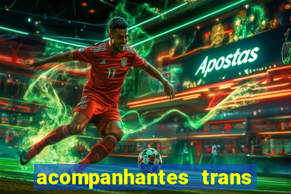 acompanhantes trans baixada fluminense